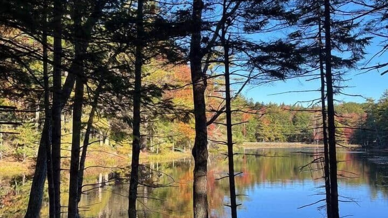 Photo of Others in Georgetown