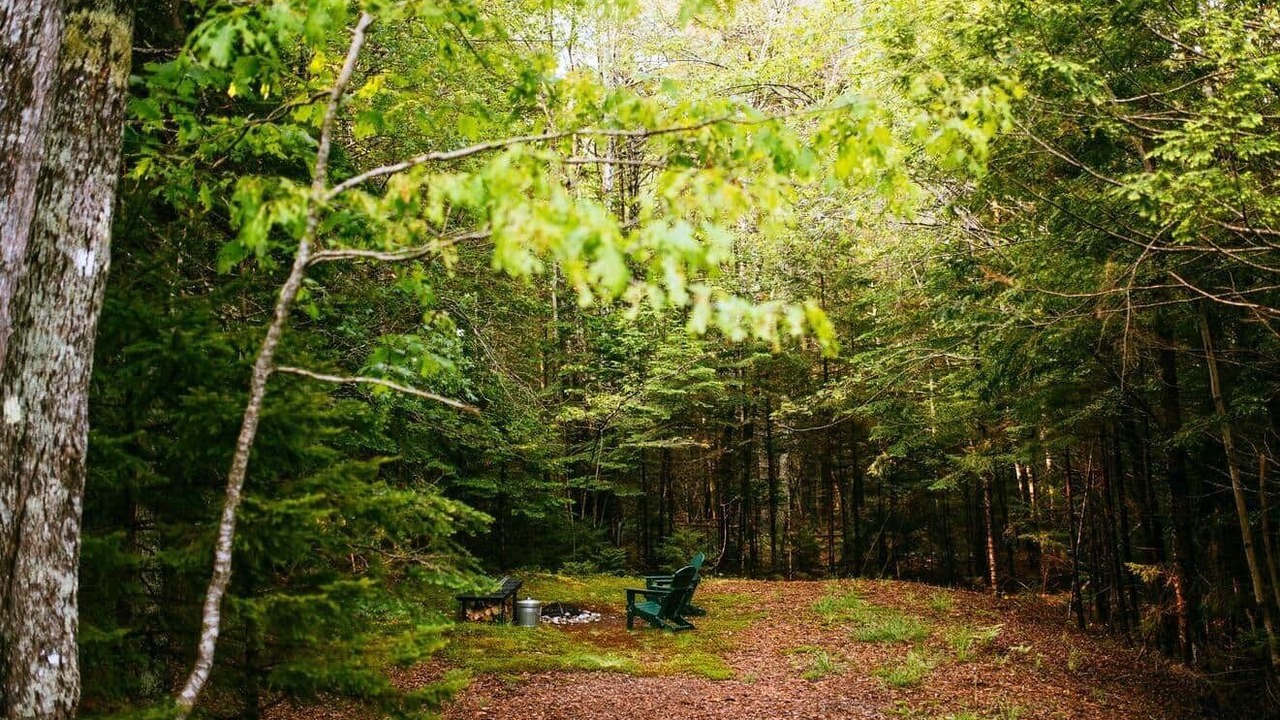 Photo of Others in Georgetown