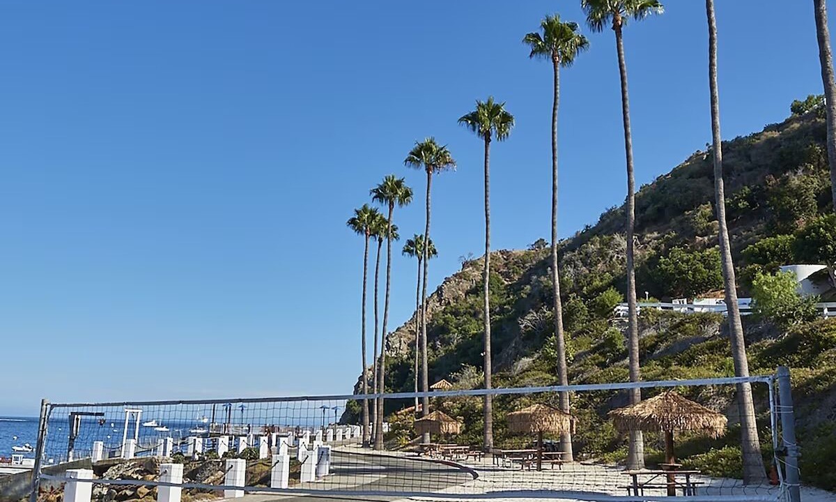 Photo of Others in Avalon