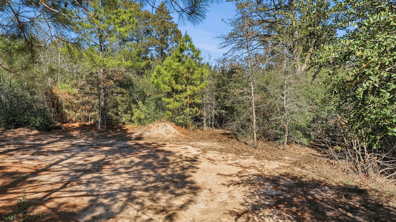 Photo of Others in Bastrop