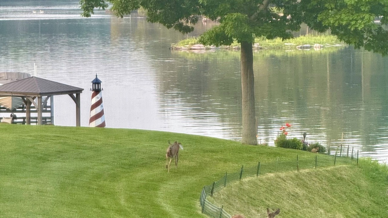 Photo of Outdoor in Wellesley Island