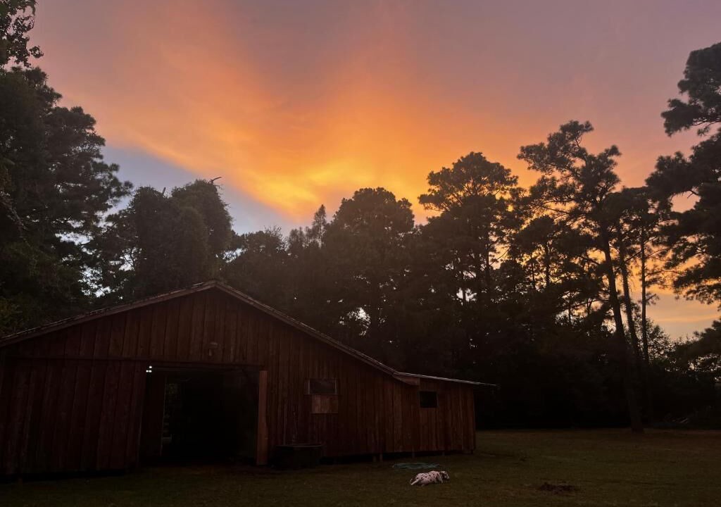 Photo of Outdoor in Highlands