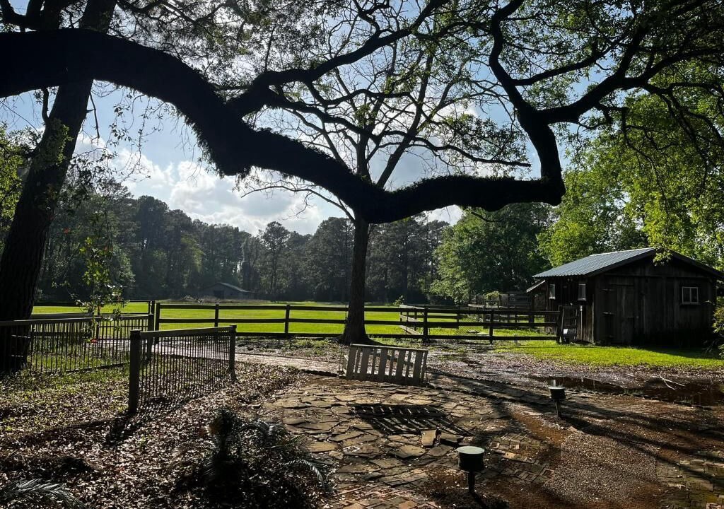 Photo of Outdoor in Highlands