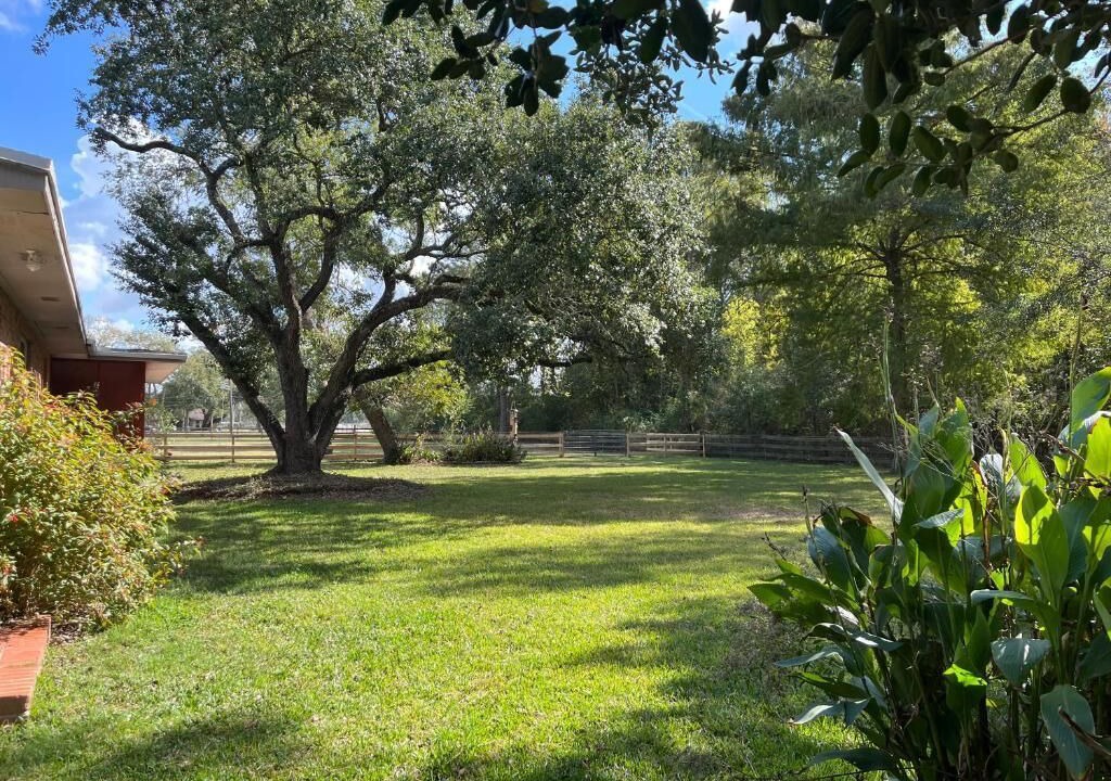 Photo of Outdoor in Highlands