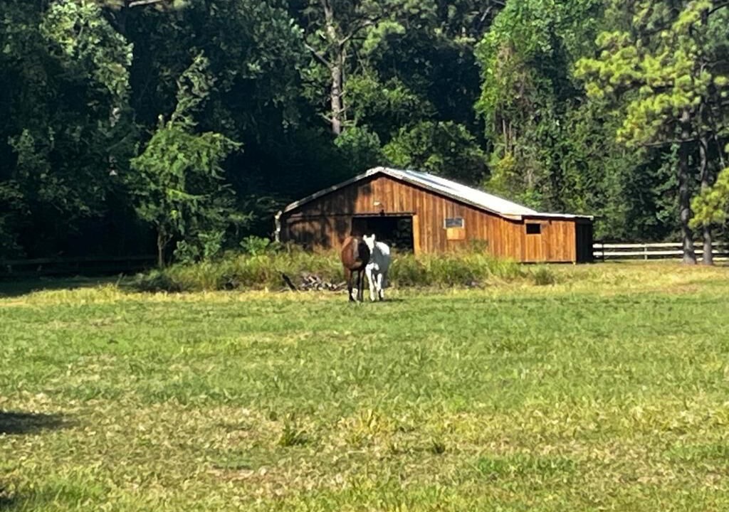 Photo of Others in Highlands
