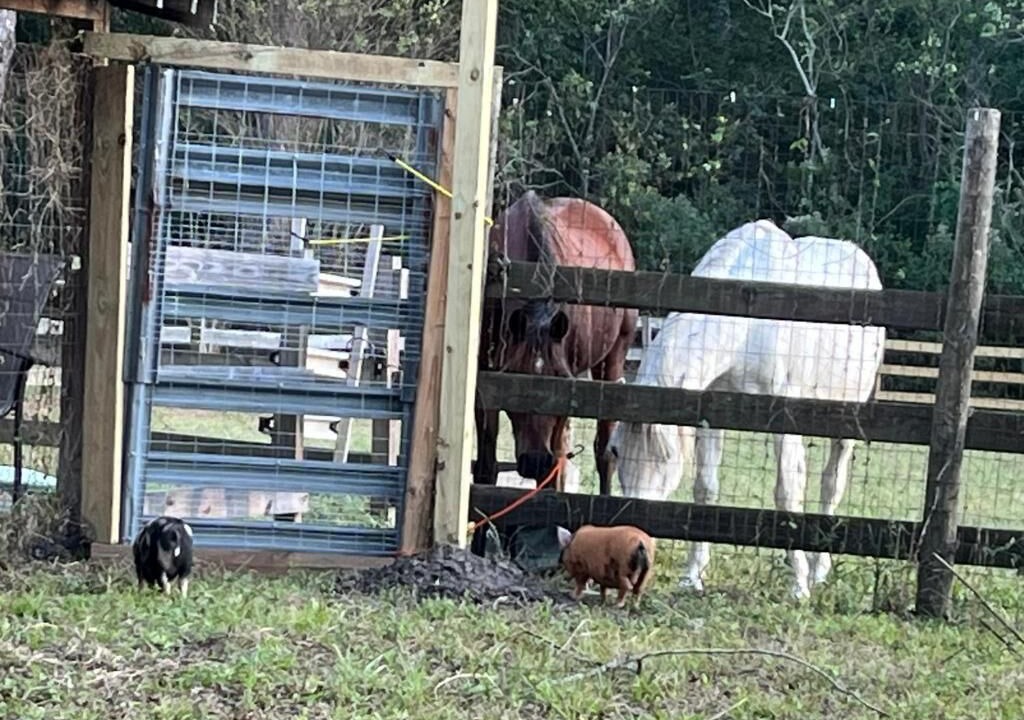 Photo of Others in Highlands