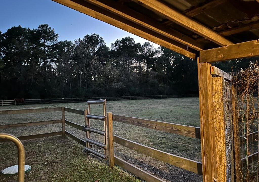 Photo of Outdoor in Highlands