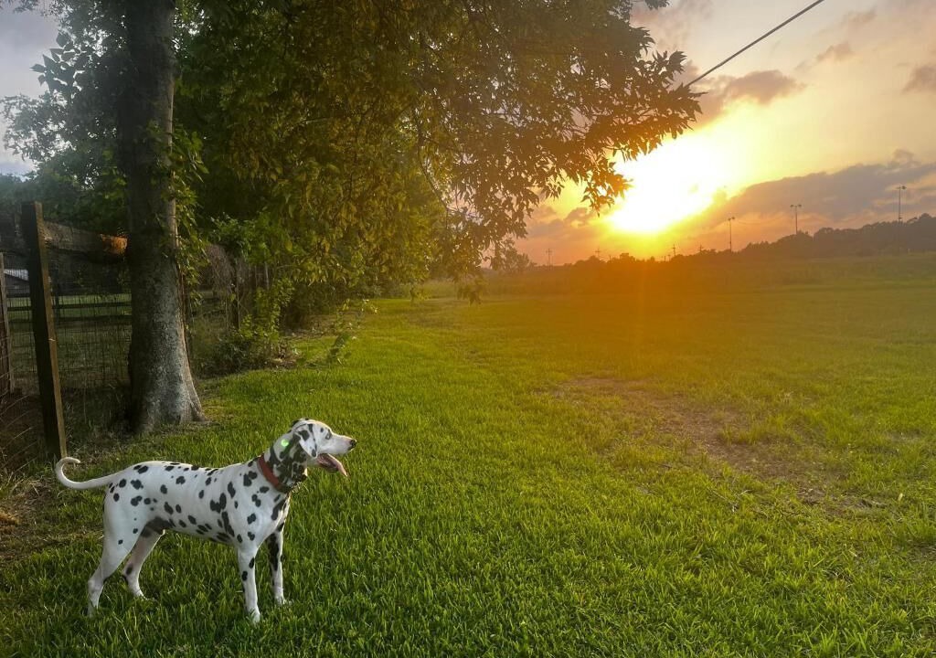 Photo of Outdoor in Highlands