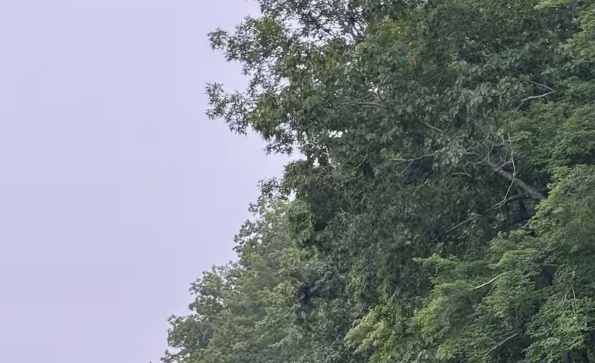 Photo of Others in Roxboro