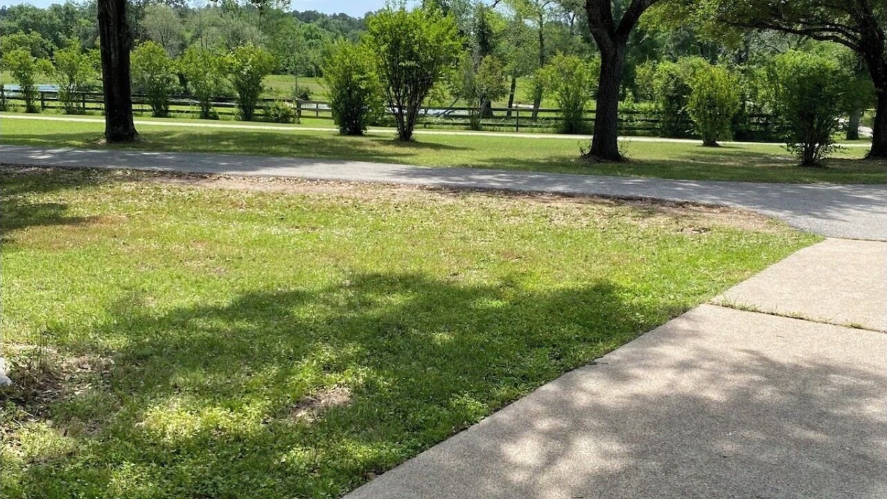 Photo of Outdoor in Waller County