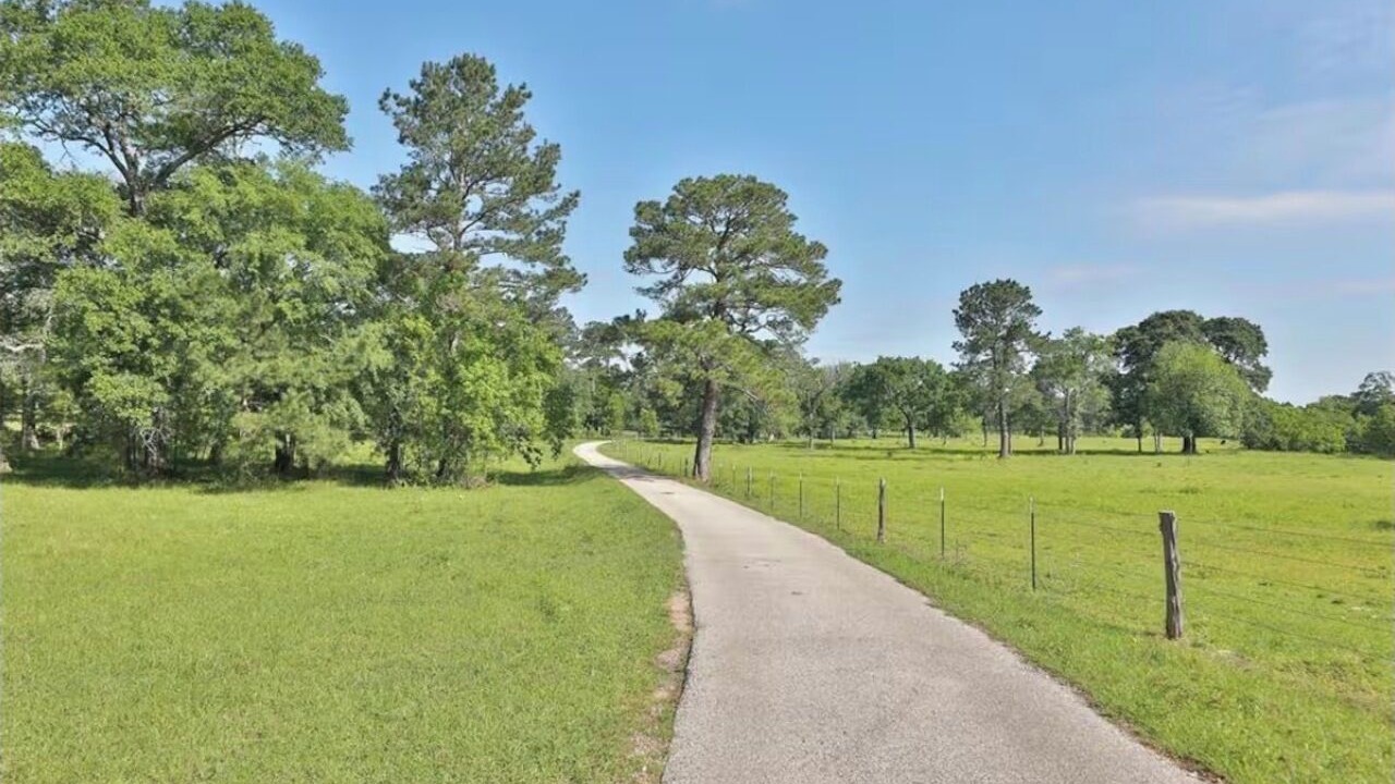 Photo of Others in Waller County