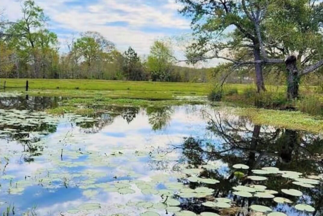 Photo of Others in Waller County