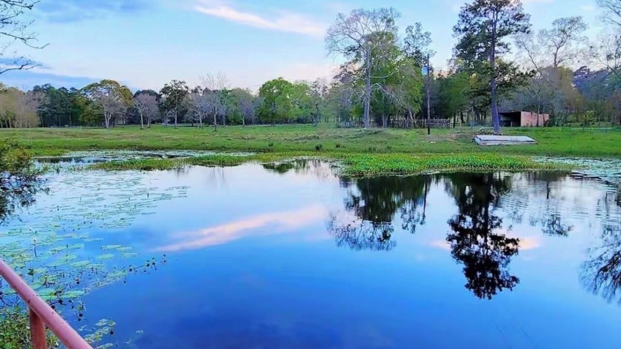 Photo of Others in Waller County