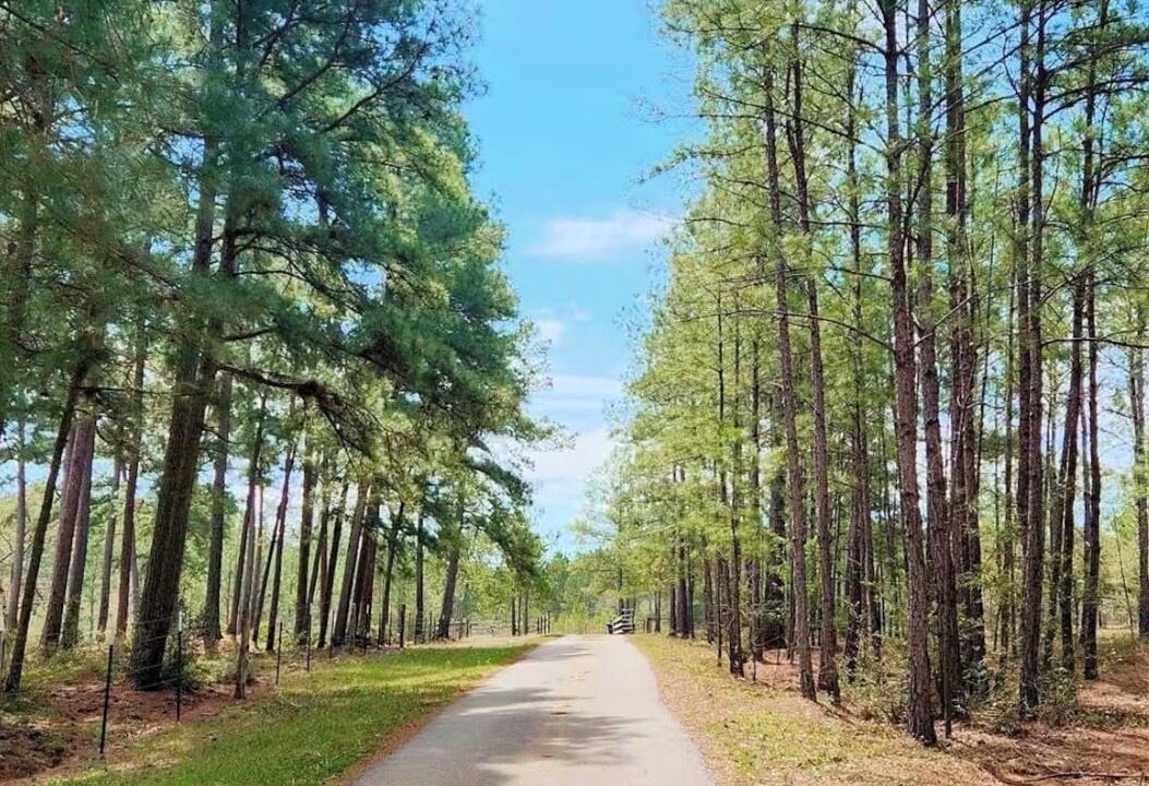 Photo of Others in Waller County