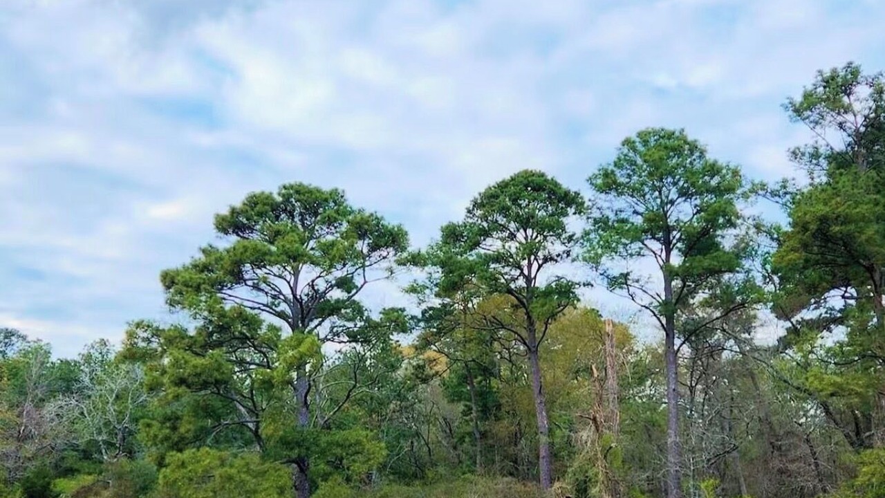 Photo of Others in Waller County