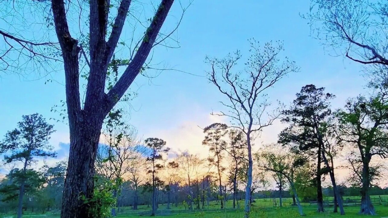 Photo of Others in Waller County