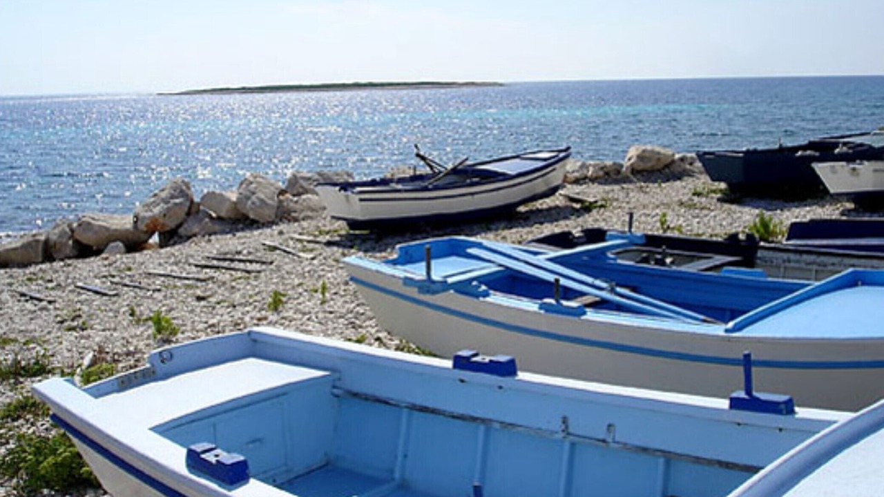 Photo of Outdoor in Veli Rat