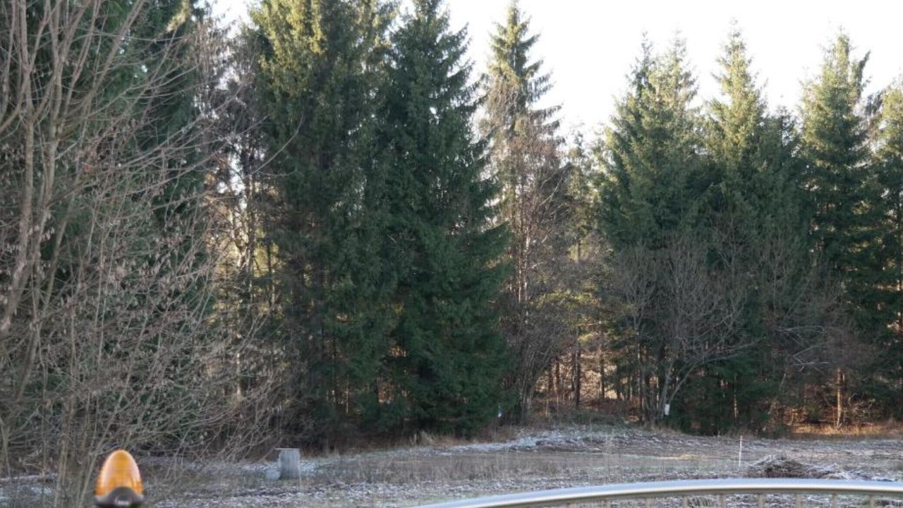 Photo of Outdoor in Delnice