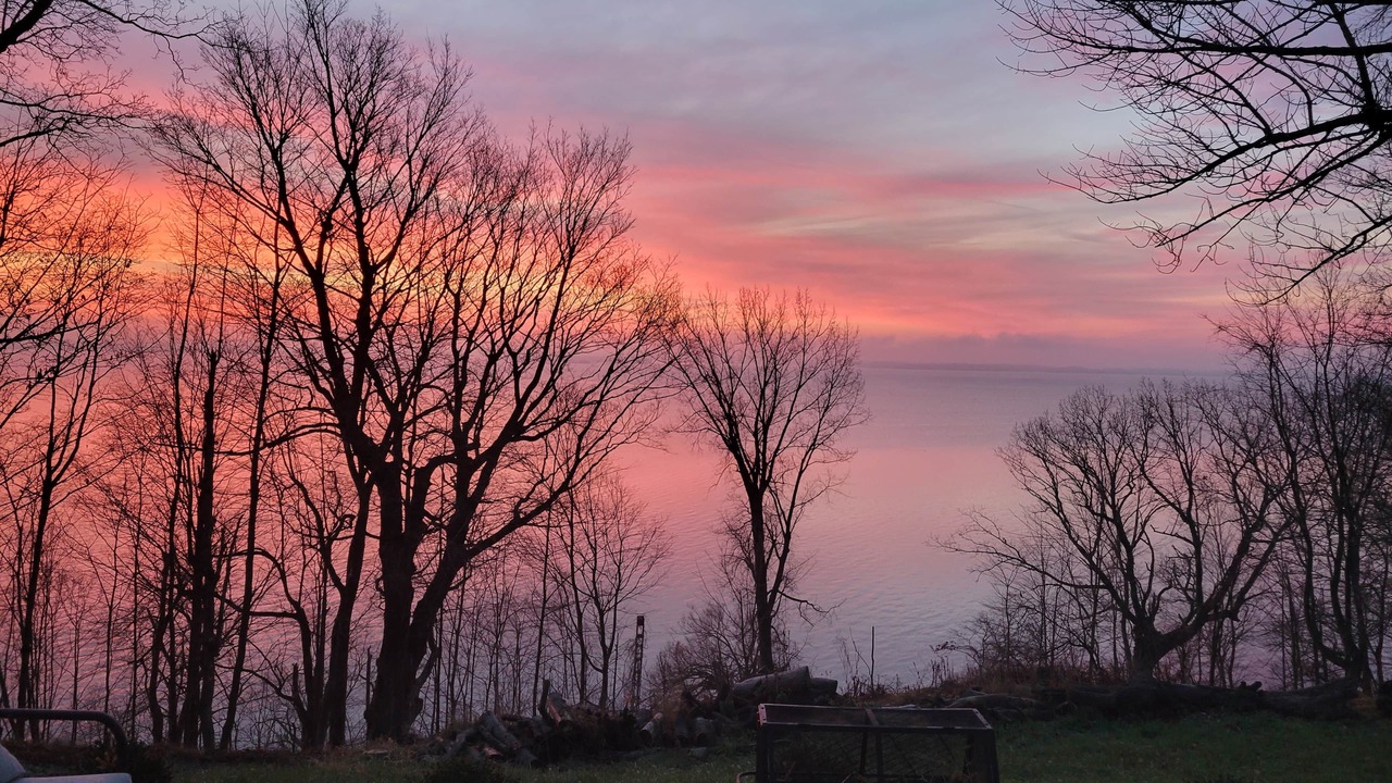 Photo of Others in Howe Island