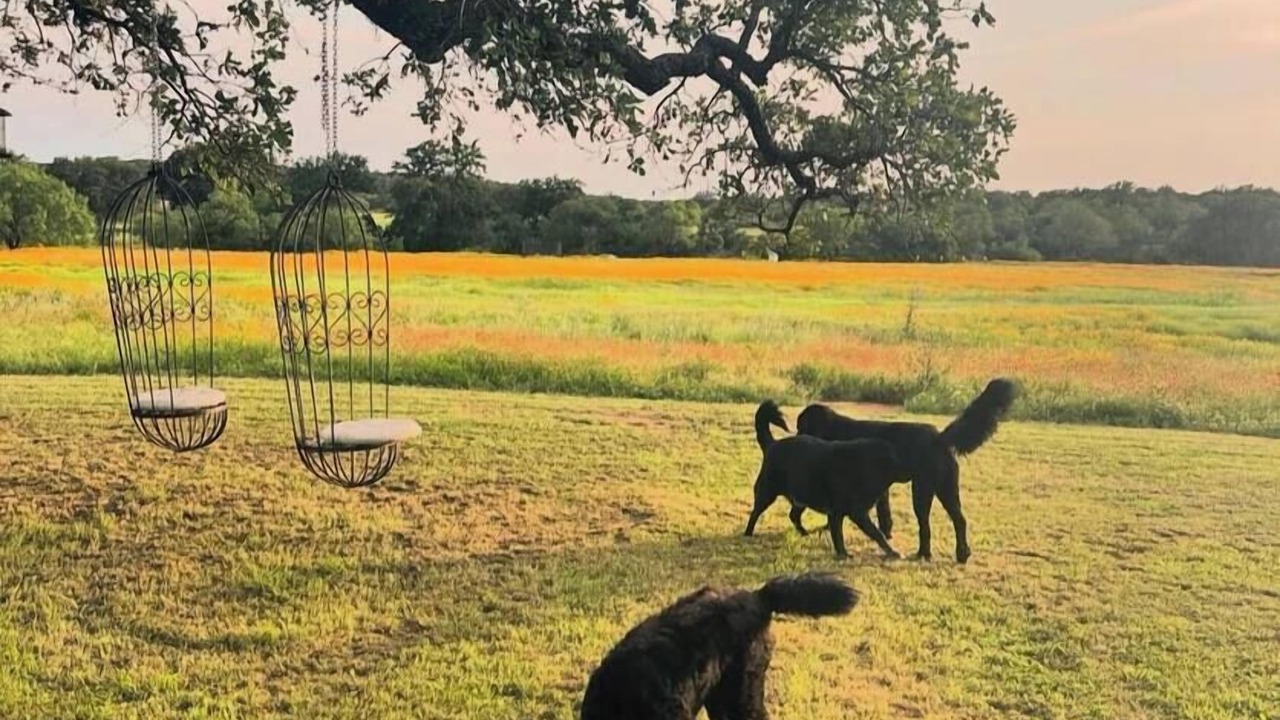 Photo of Others in Llano