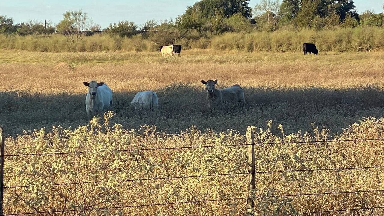 Photo of Others in Llano