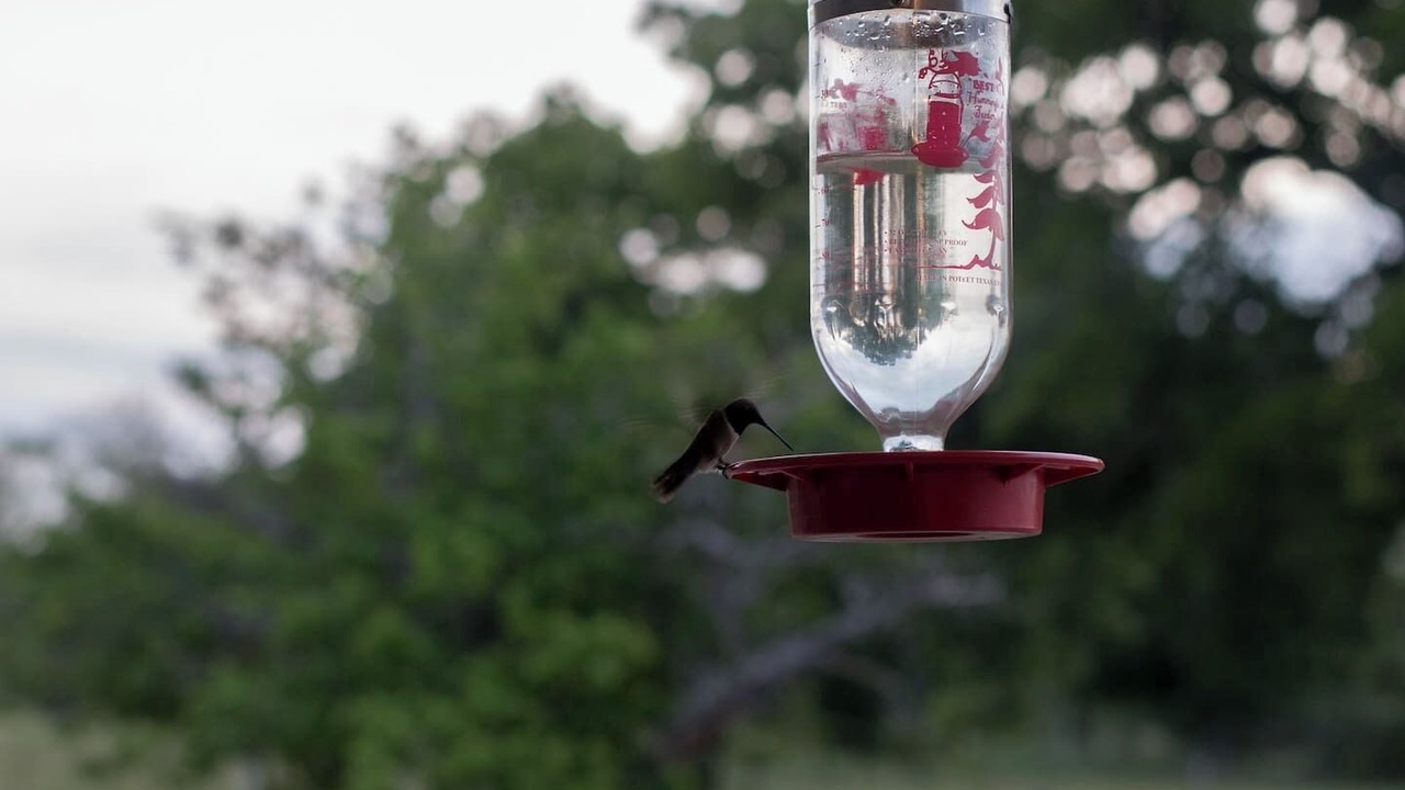 Photo of Others in Llano