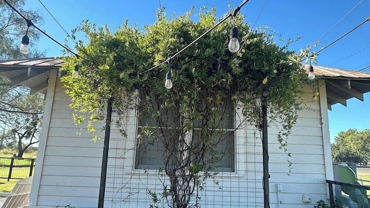Photo of Outdoor in Llano