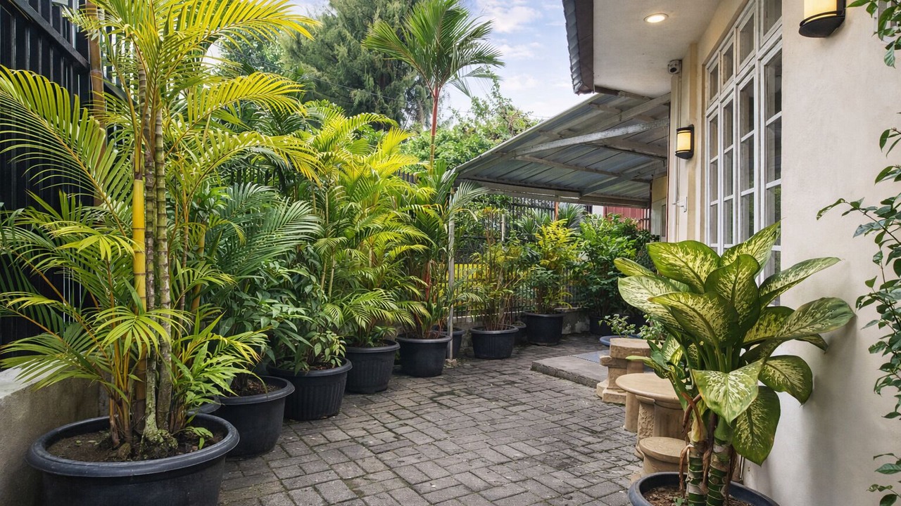 Photo of Outdoor in Malioboro