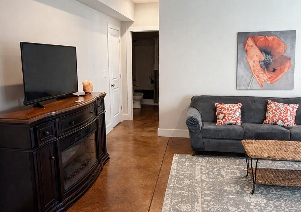 Photo of Livingroom in Renault