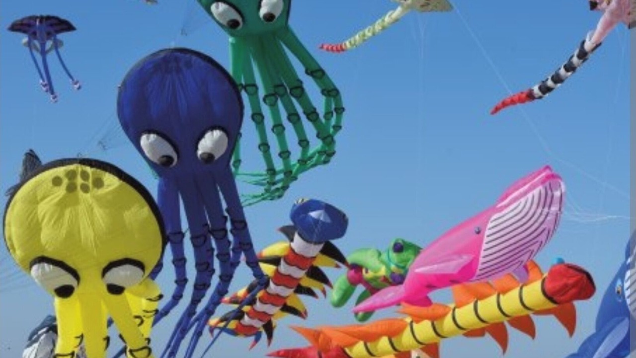 Photo of Others in Berck-sur-Mer