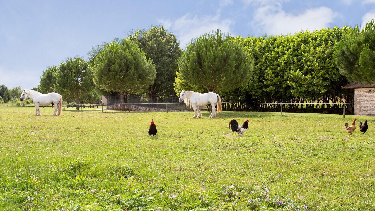 Photo of Others in Lonnes