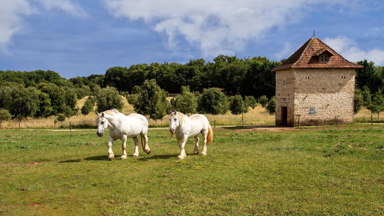 Photo of Others in Lonnes