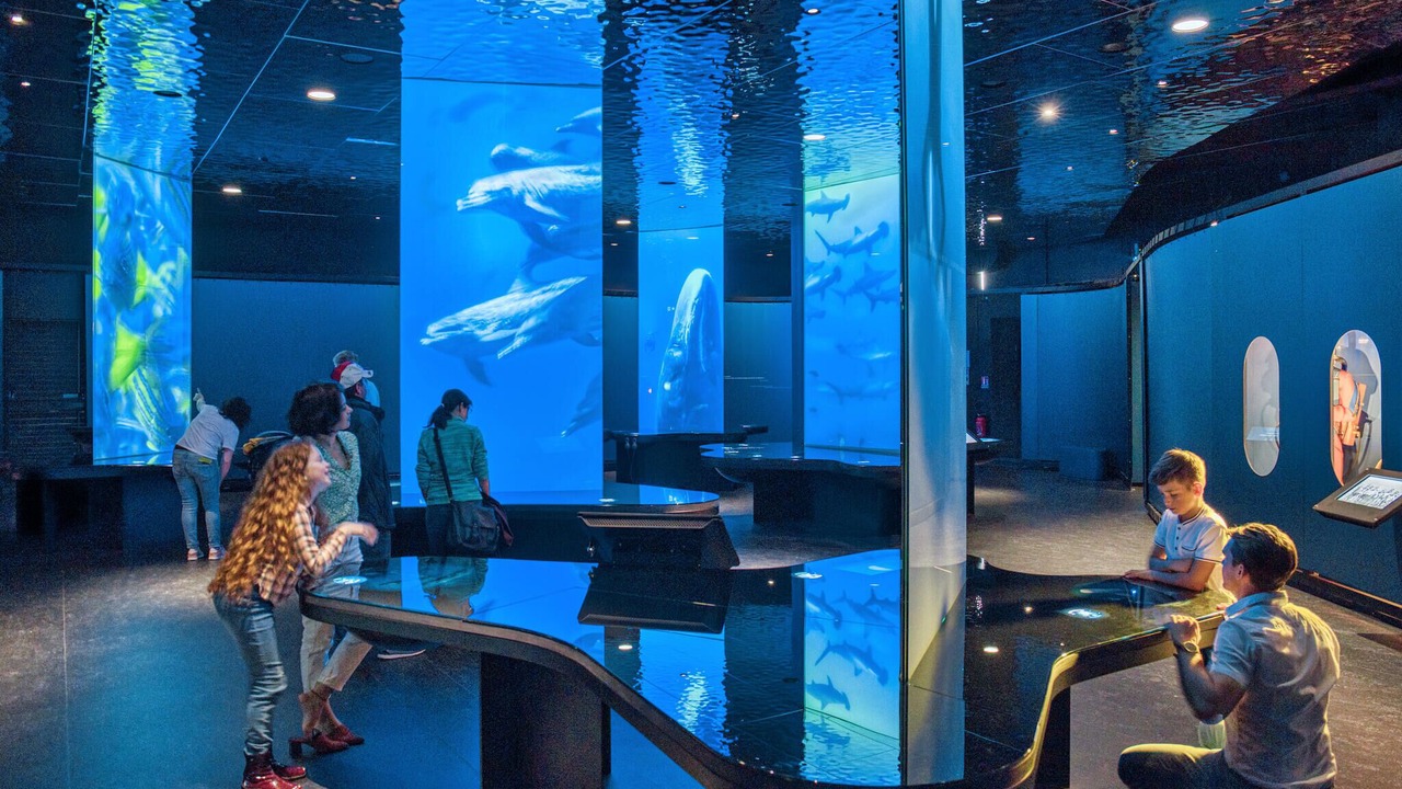 Photo of Others in Saint-Vaast-la-Hougue