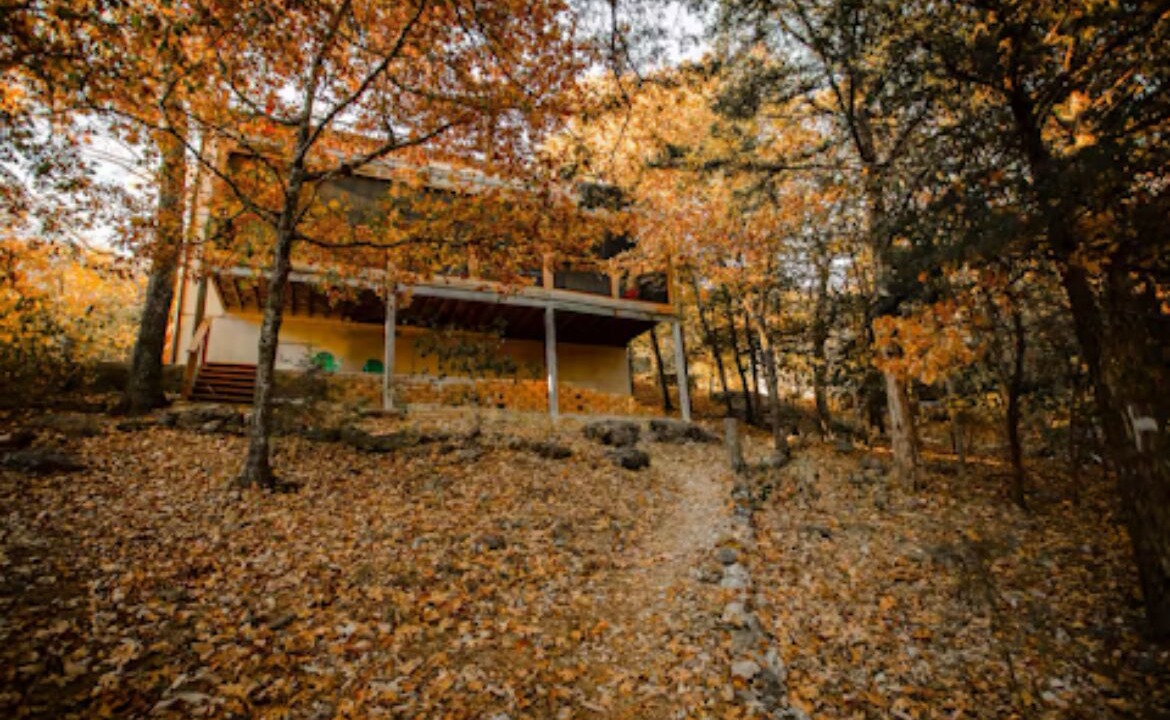 Photo of Outdoor in Lost Bridge Village