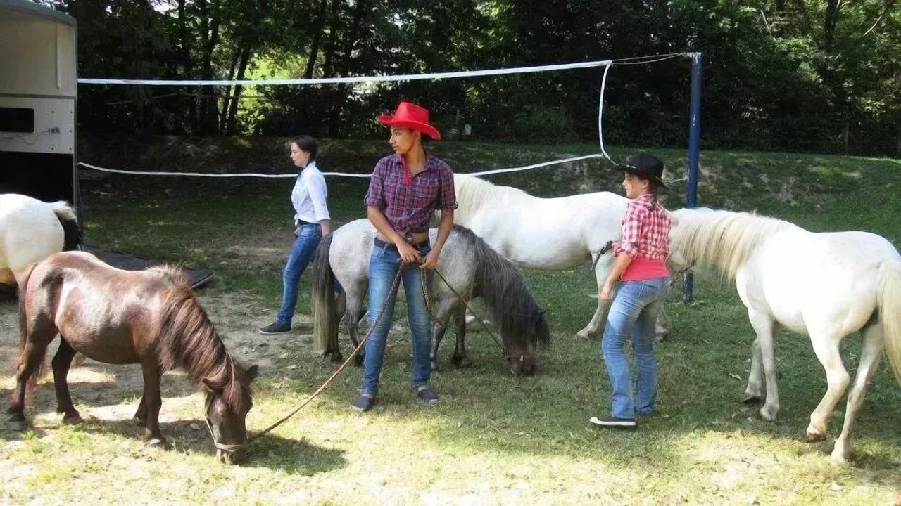 Photo of Others in Belmont-Tramonet