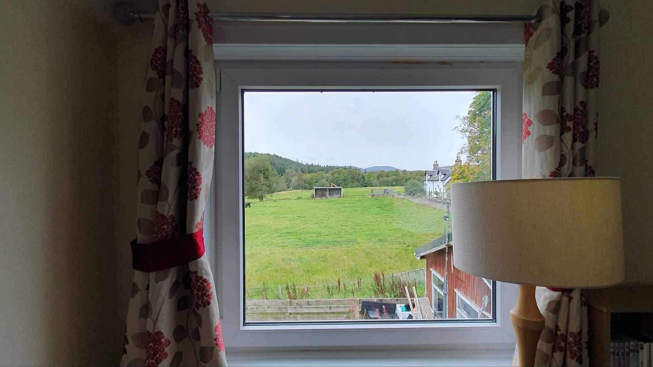 Photo of Others in Whiteness