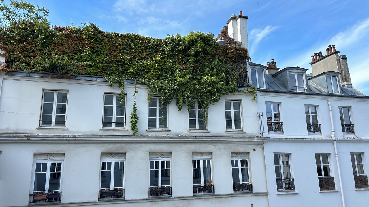 Photo of Outdoor in Quartier de la Porte-Saint-Denis