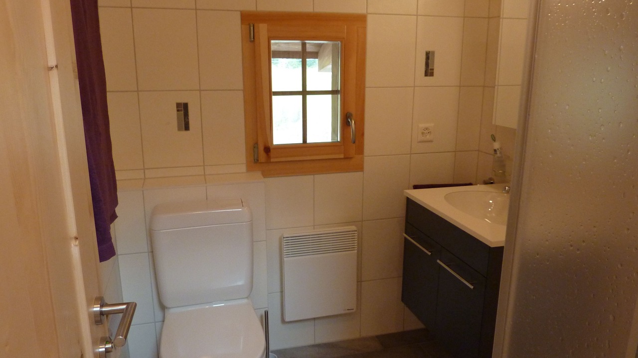 Photo of Bathroom in Evolene