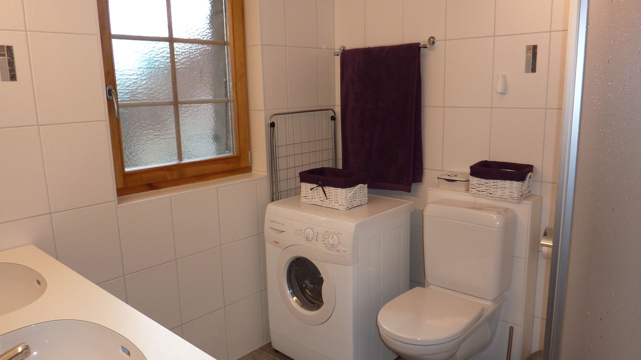 Photo of Bathroom in Evolene