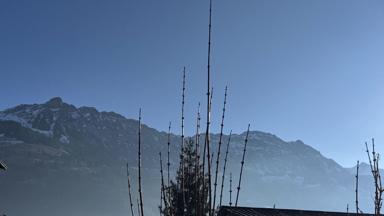 Photo of Others in Frutigen