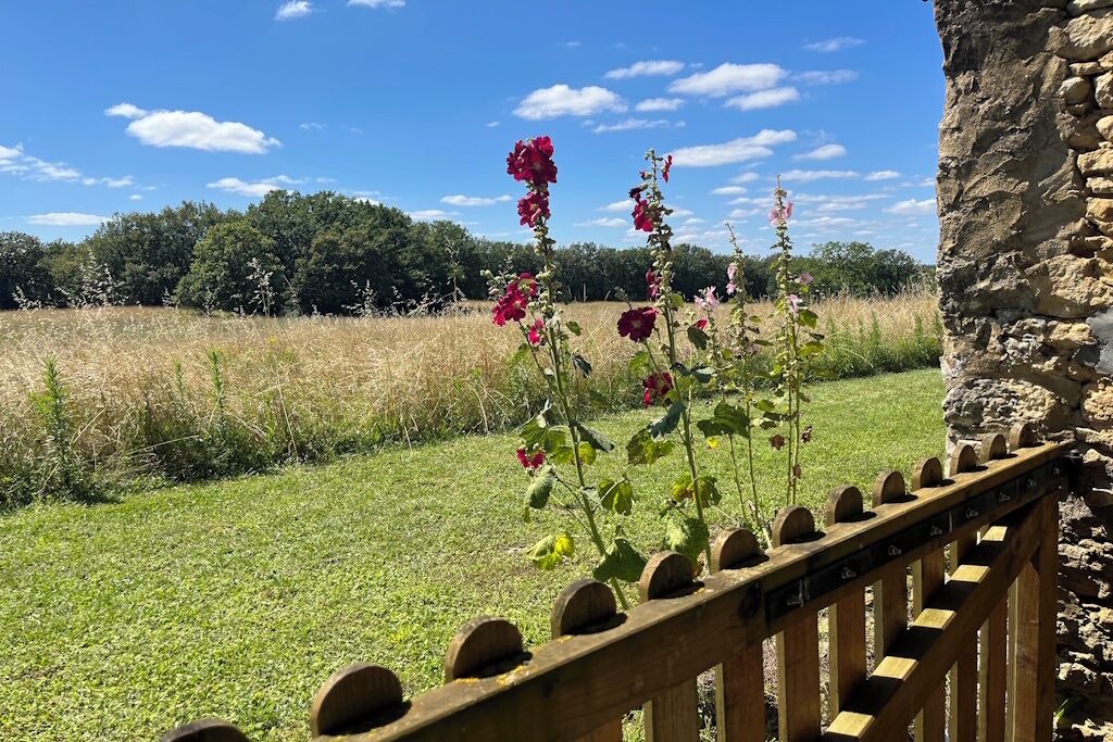 Photo of Outdoor in Archignac