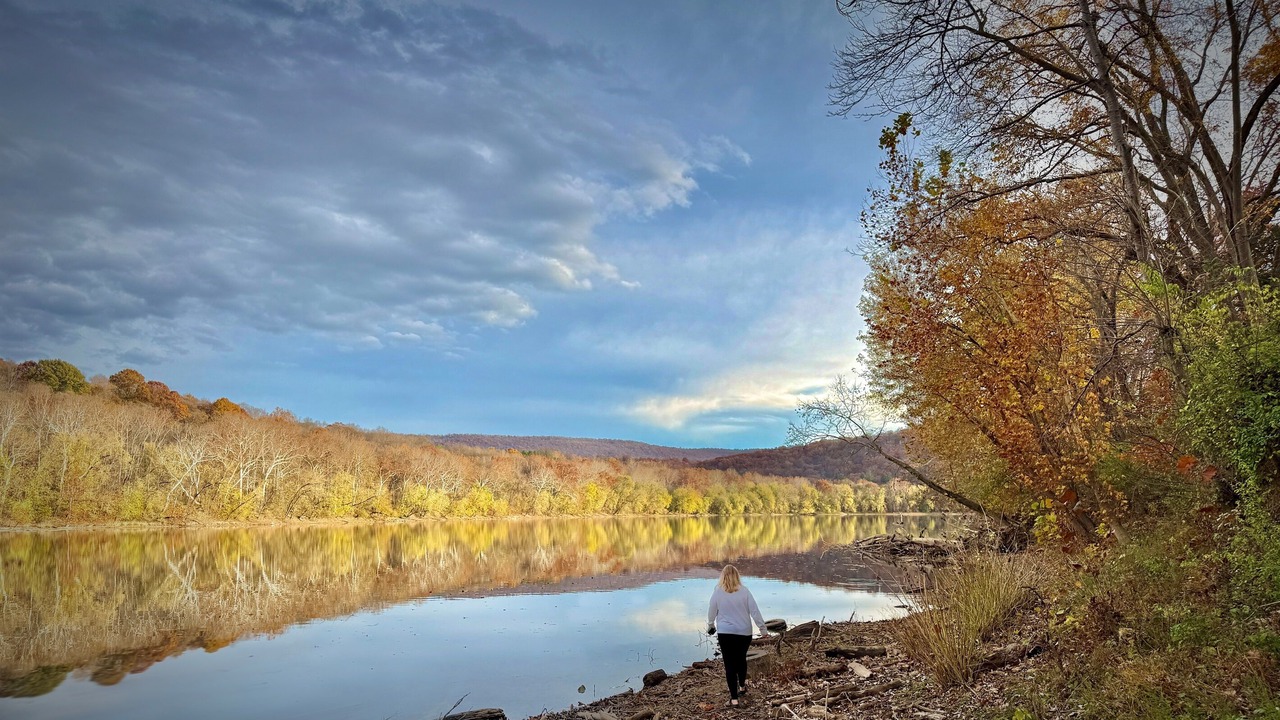 Photo of Others in Bakerton