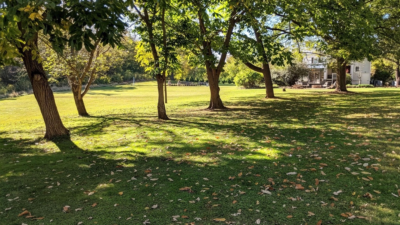 Photo of Outdoor in Bakerton