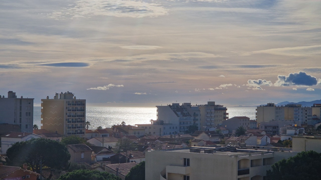 Photo of Others in Le Port