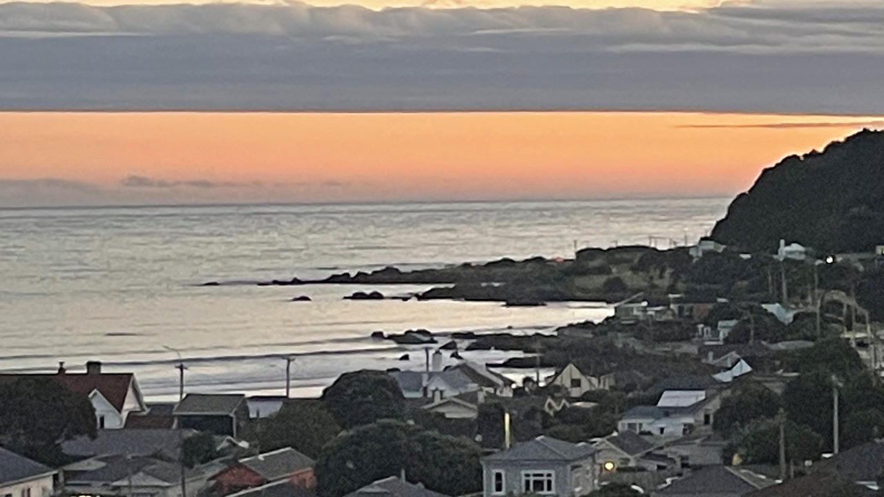 Photo of Others in Lyall Bay