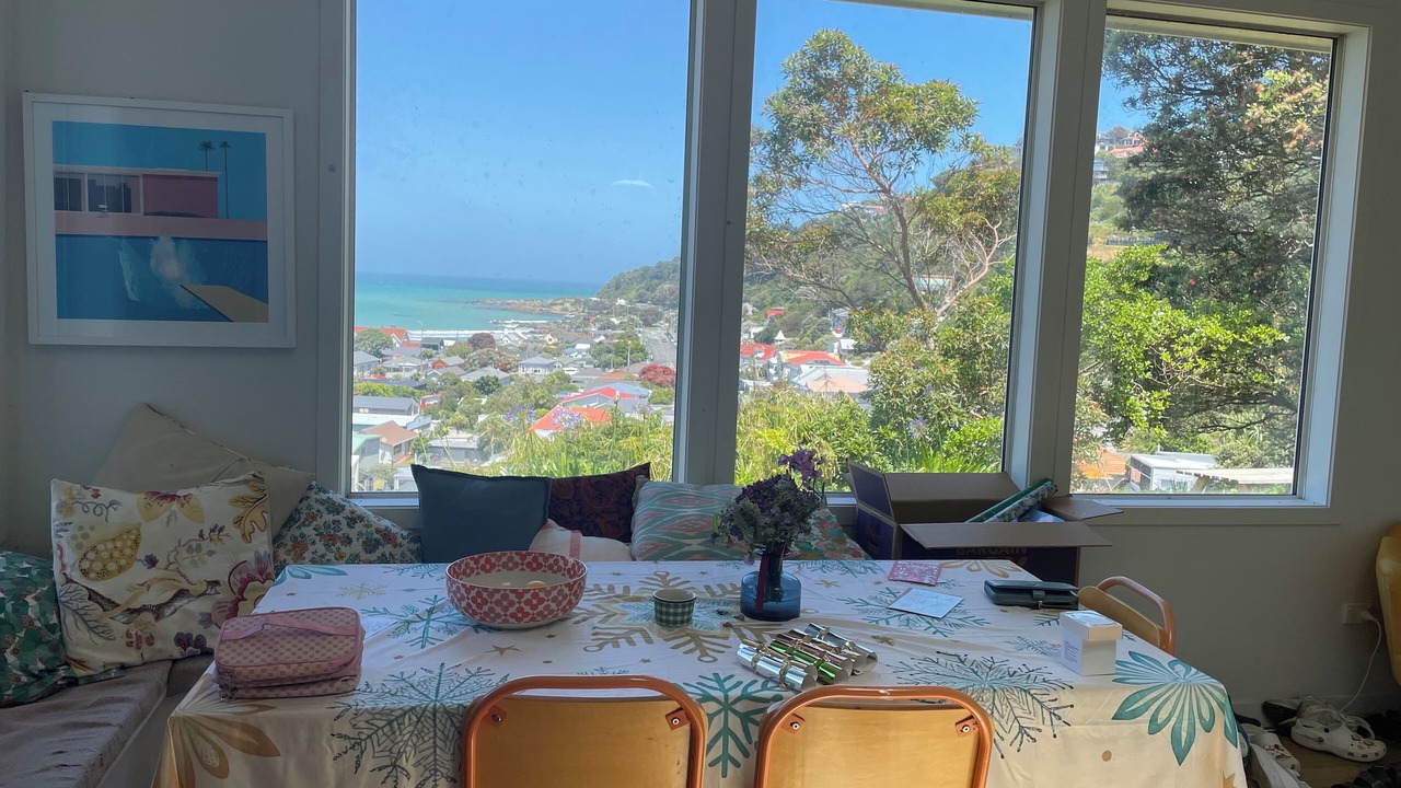 Photo of Others in Lyall Bay