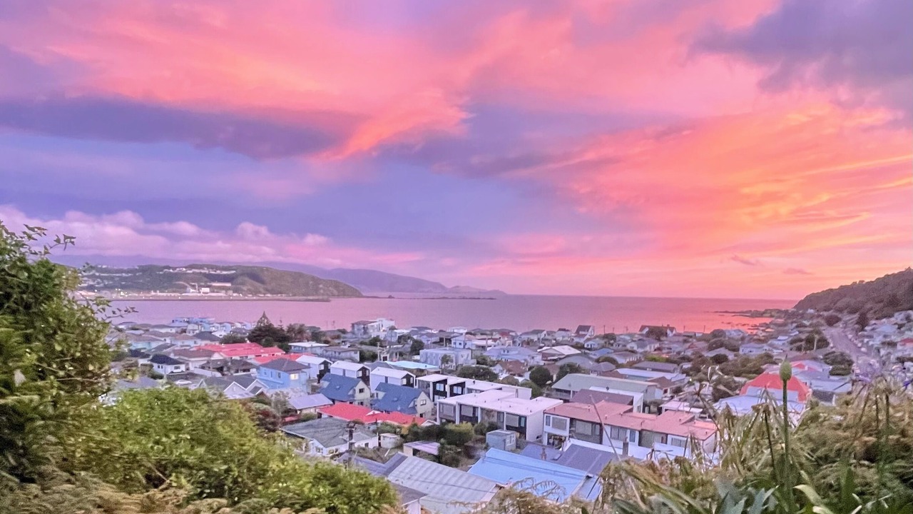 Photo of Others in Lyall Bay