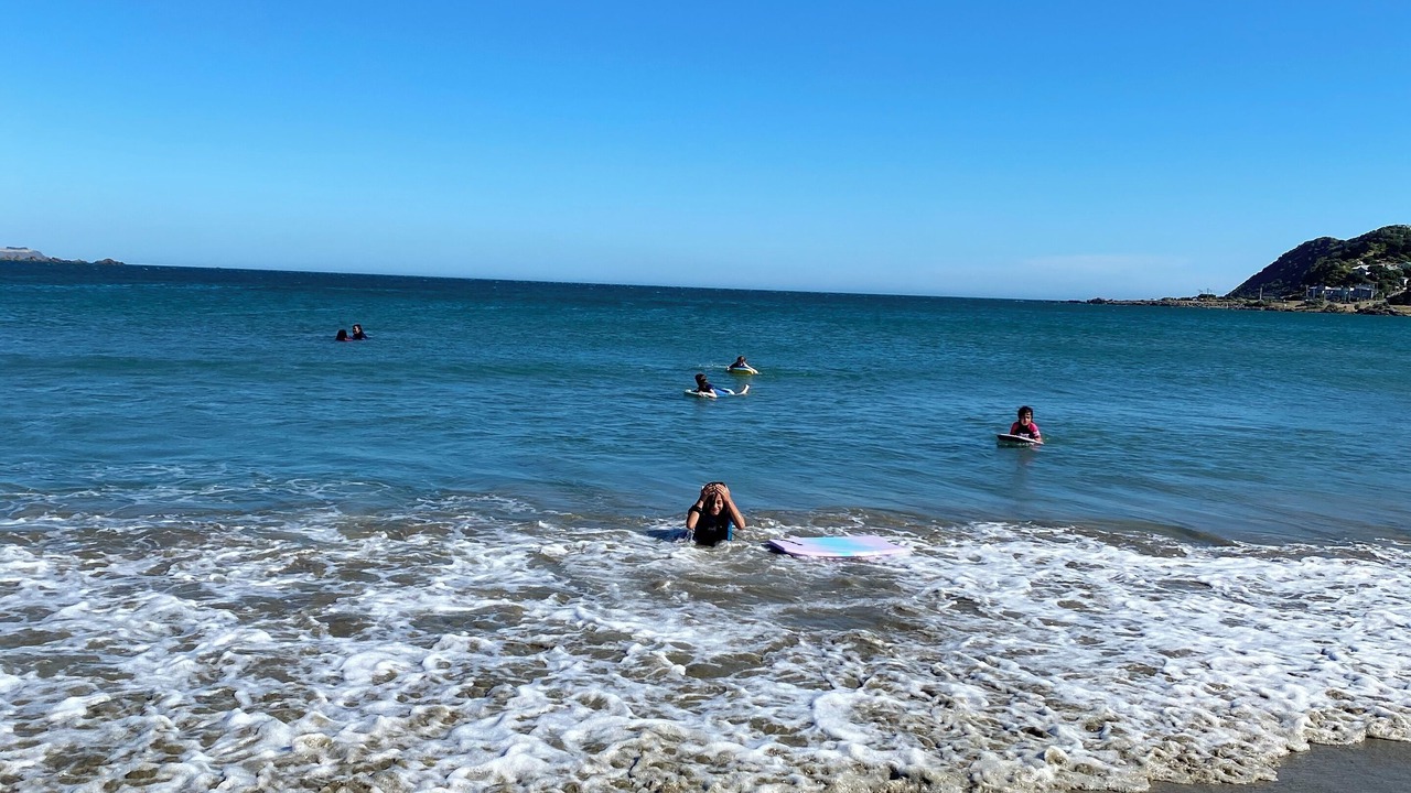 Photo of Others in Lyall Bay
