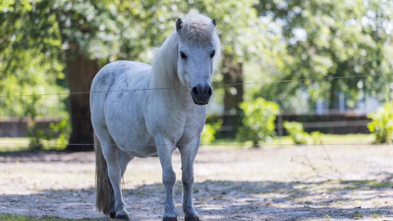 Photo of Others in Vert