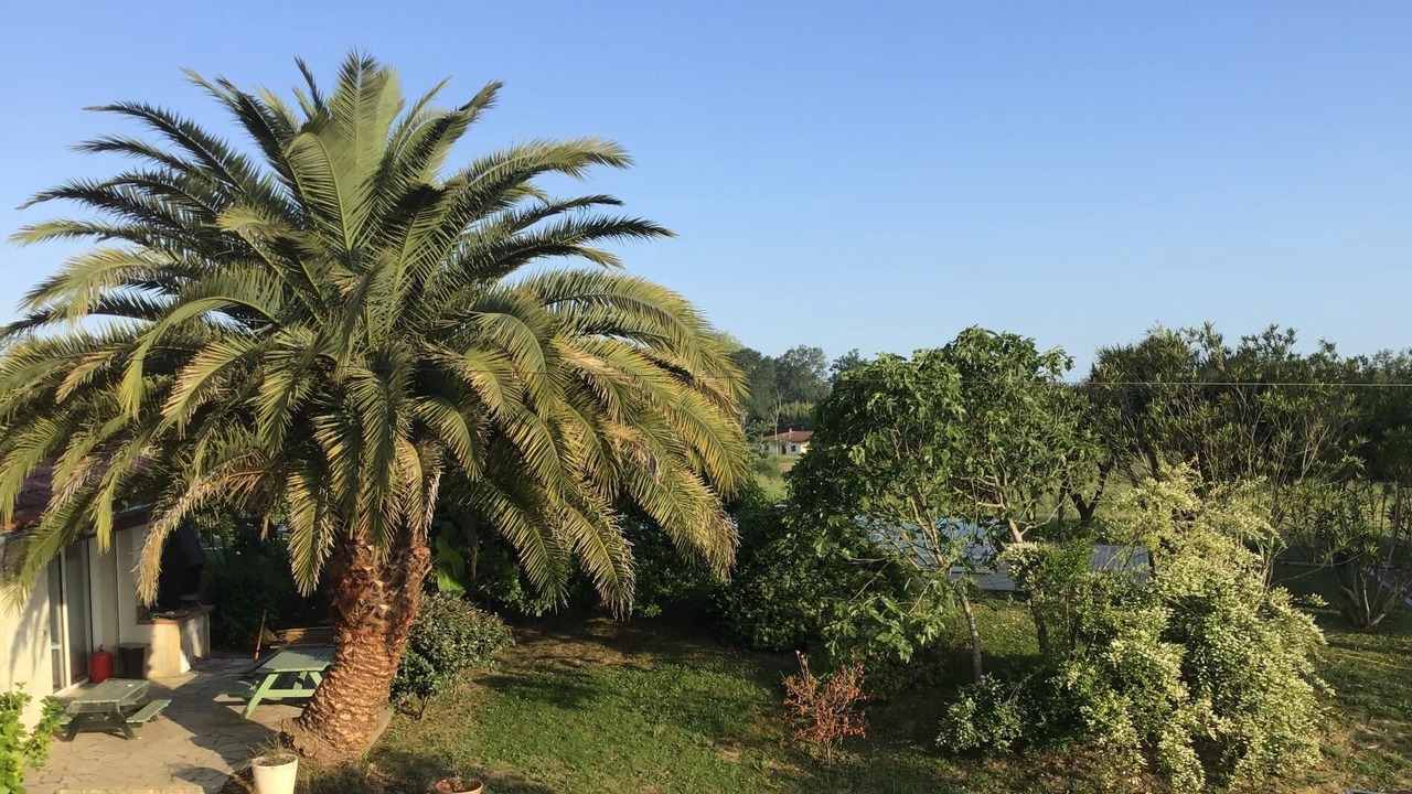 Photo of Outdoor in Heugas